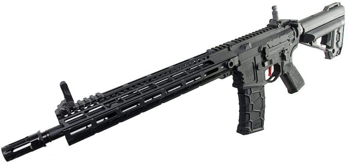 Borde samurái de Avalon